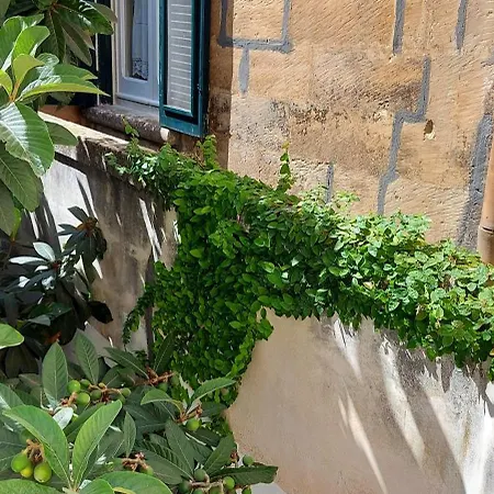 Massa House * Lecce